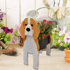 strolfay beagle with succulent planted demonstrating healthy drainage benefit