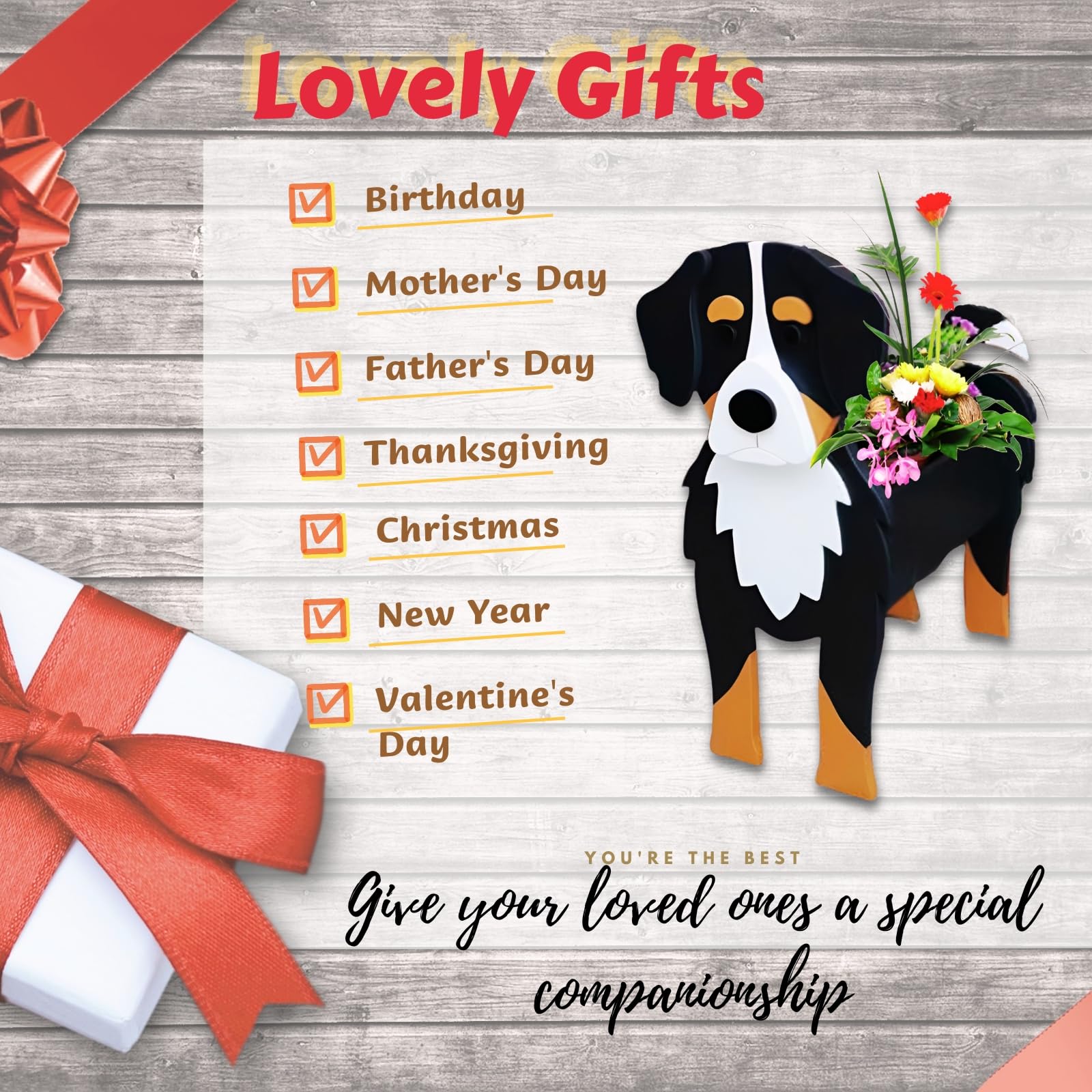 strolfay Bernese in a living room scene showing decorative appeal and gift-ready charm benefit