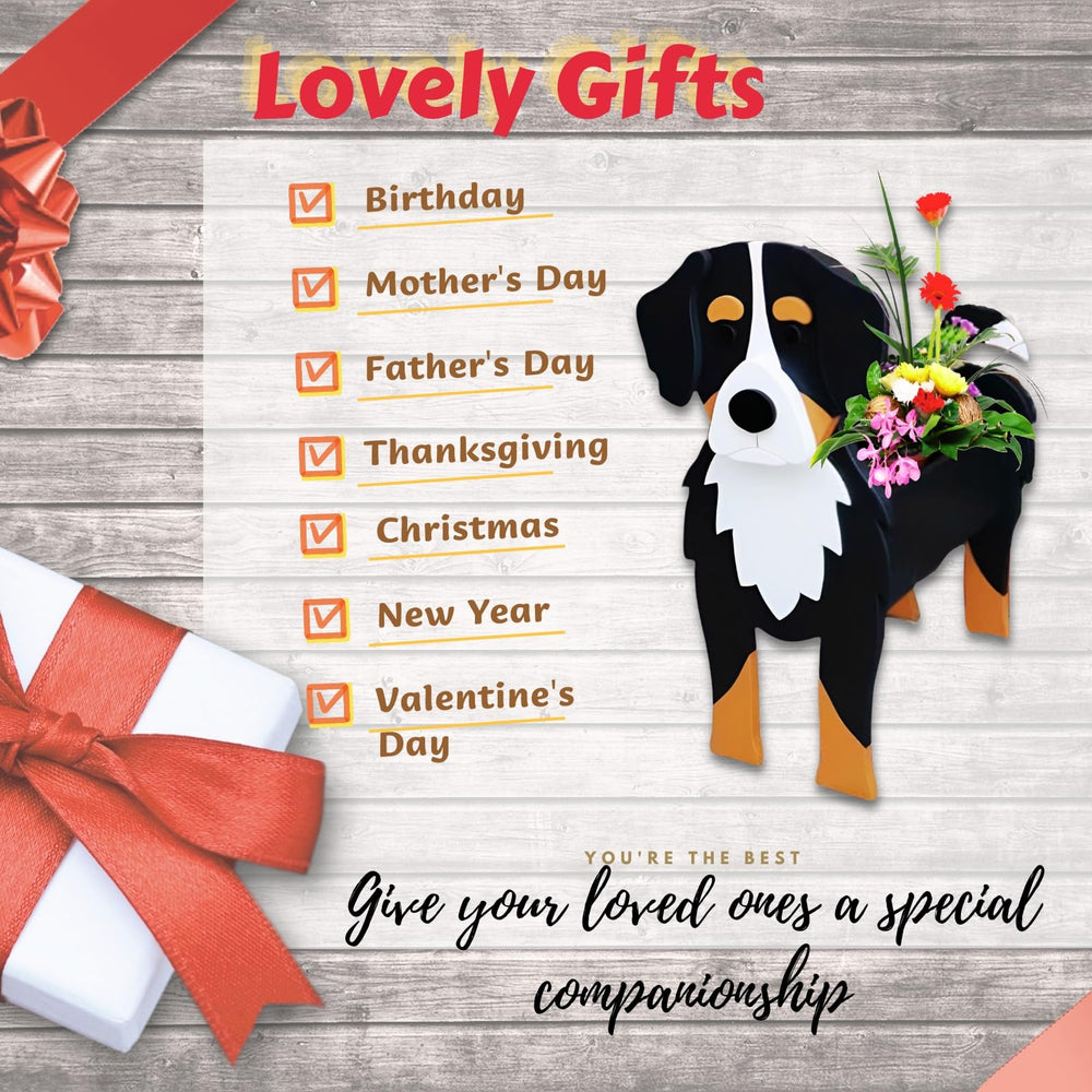 strolfay Bernese in a living room scene showing decorative appeal and gift-ready charm benefit