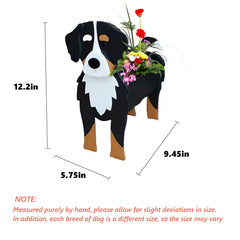 strolfay Bernese side profile highlighting stable base and tip-resistant design benefit