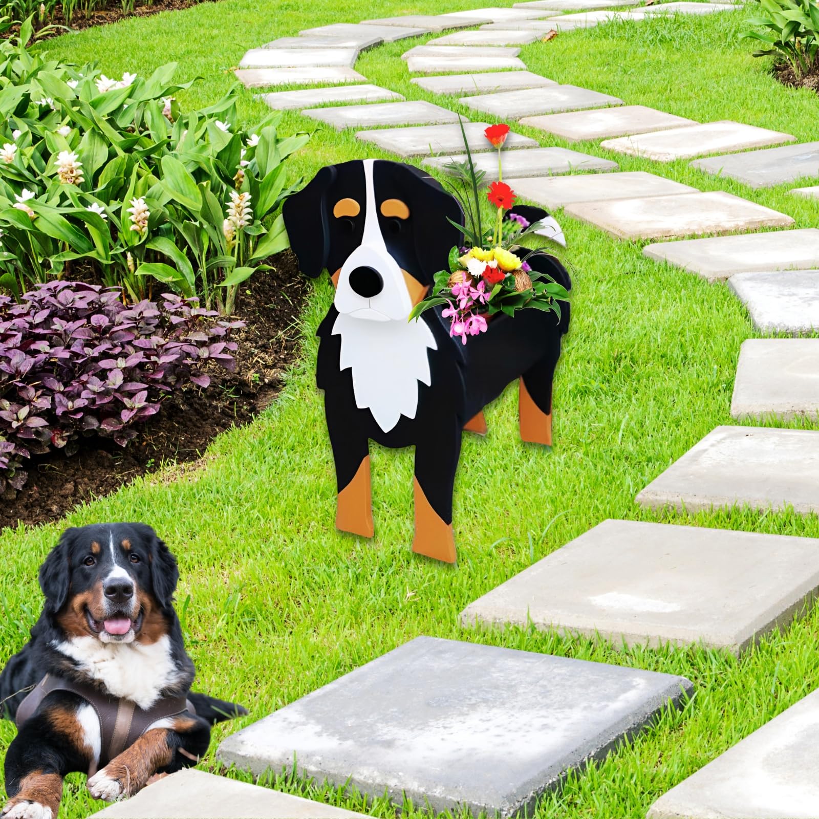 strolfay Bernese top view filled with succulents showing drainage and planting ease benefit