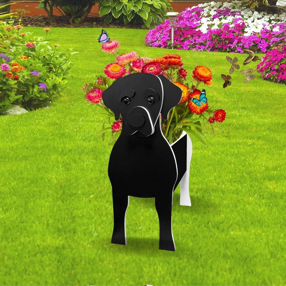 strolfay black labrador front view showing charming decor and sturdy base