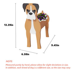 strolfay boxer side profile highlighting stable base and balance