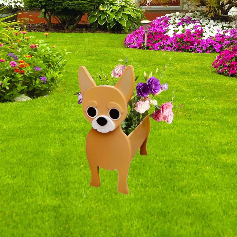 strolfay chihuahua front view showing cheerful pot and bright color benefit