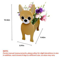 strolfay chihuahua side profile highlighting stable base and balance benefit