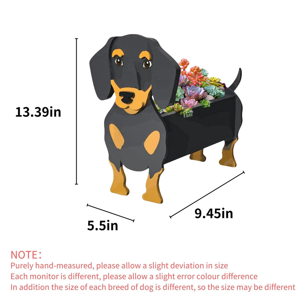 strolfay dachshund side profile highlighting stable base and sturdy construction benefit