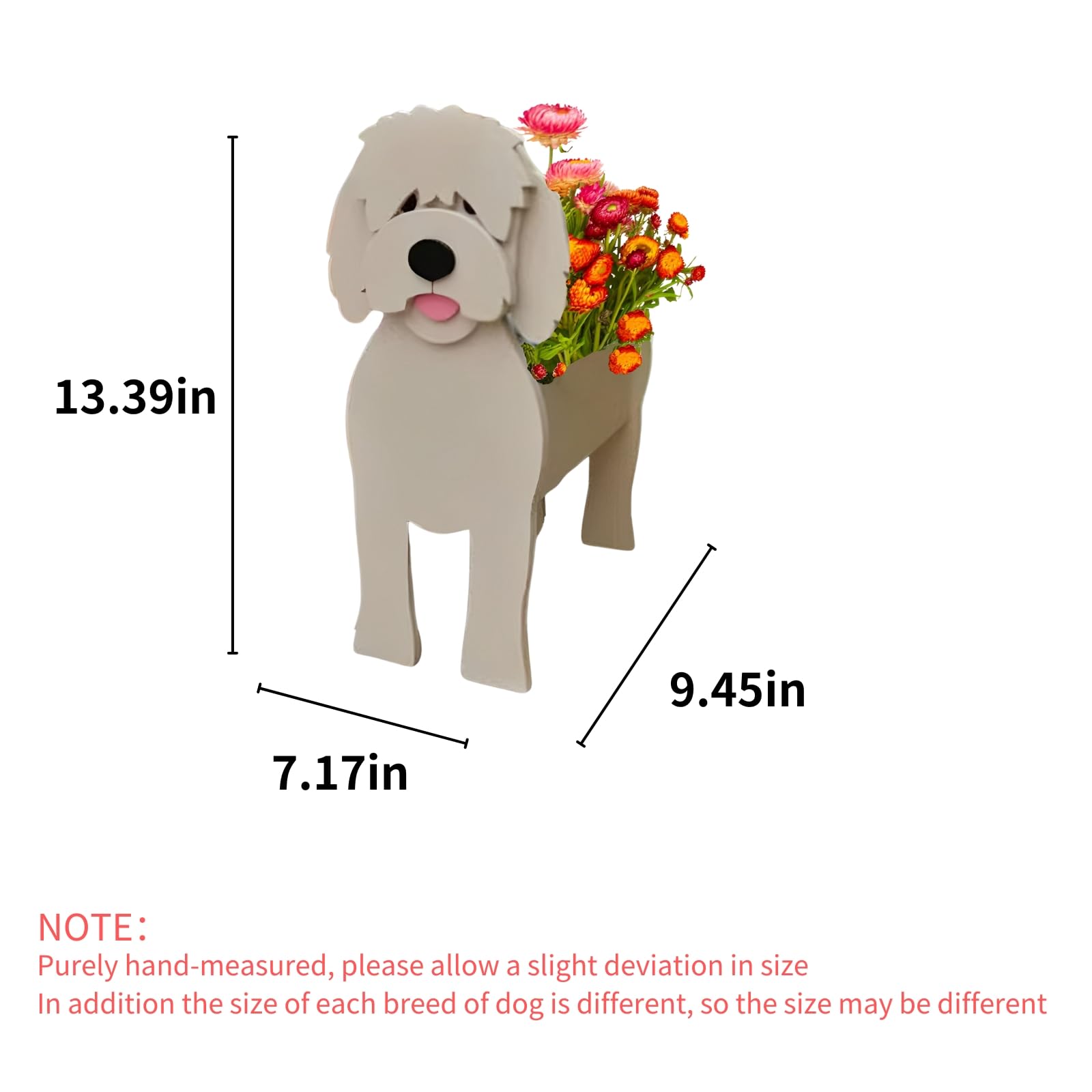 strolfay Golden Doodle side profile highlighting stable base and charming silhouette