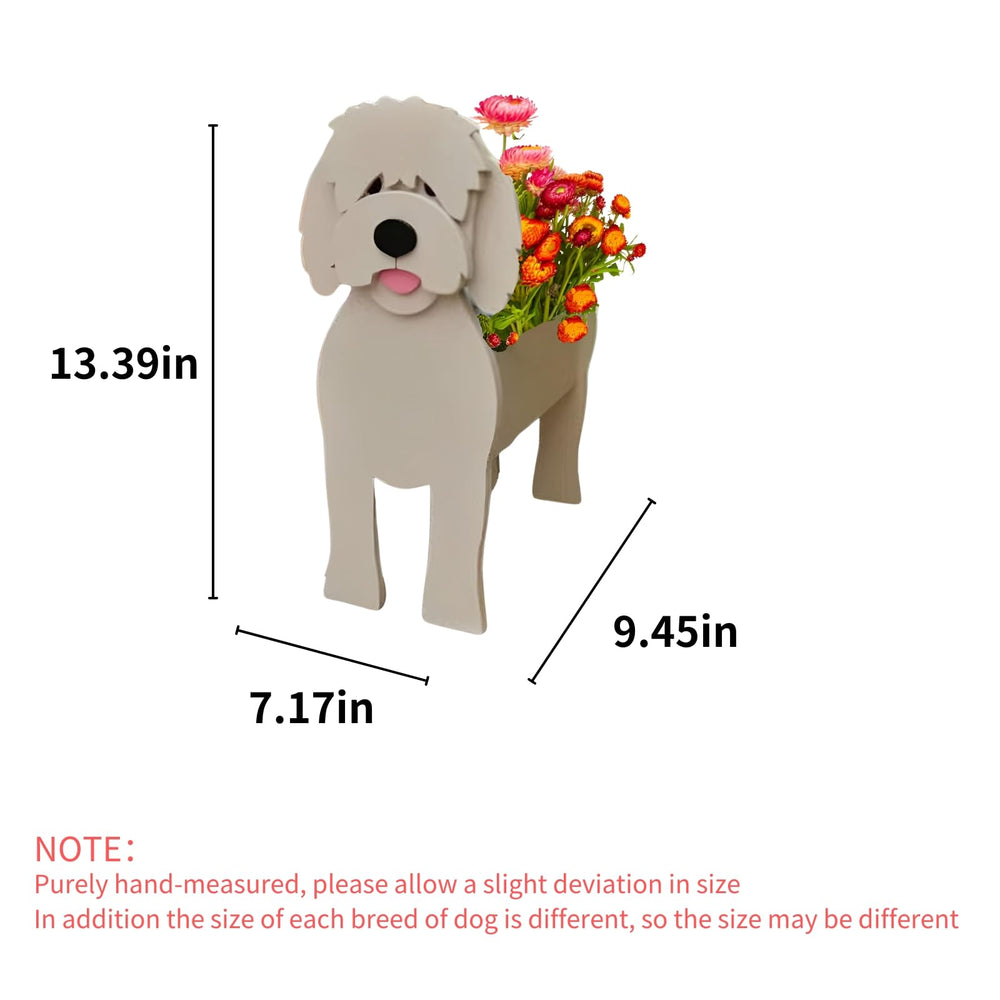 strolfay Golden Doodle side profile highlighting stable base and charming silhouette