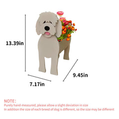 strolfay Golden Doodle side profile highlighting stable base and charming silhouette