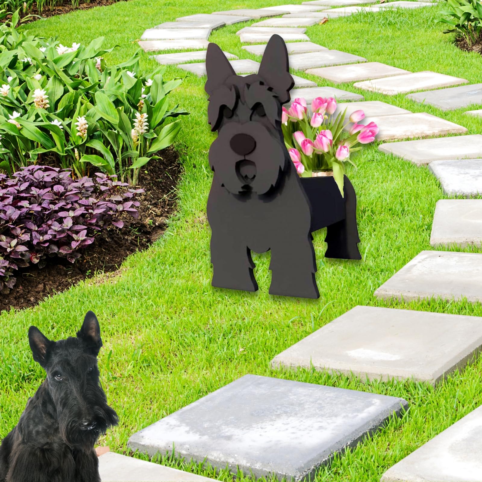 strolfay Scottish Terrier planter bottom drainage holes close-up protecting roots from overwatering