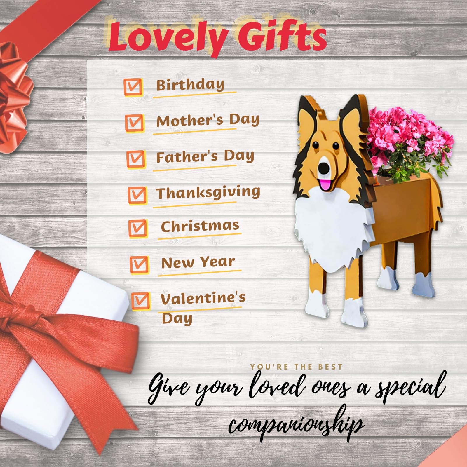 strolfay Sheltie on patio table with flowers showing outdoor decorative use