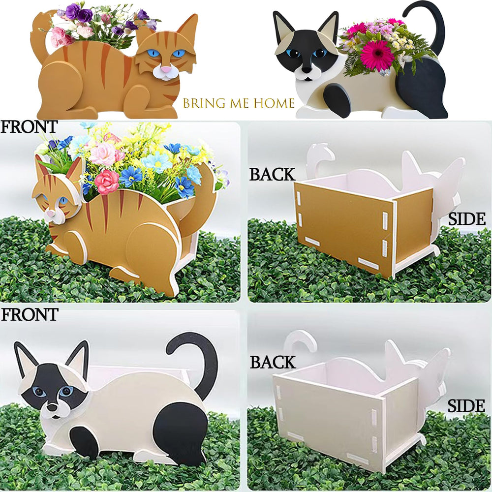strolfay Siamese cat planter with succulent planted demonstrating decorative utility