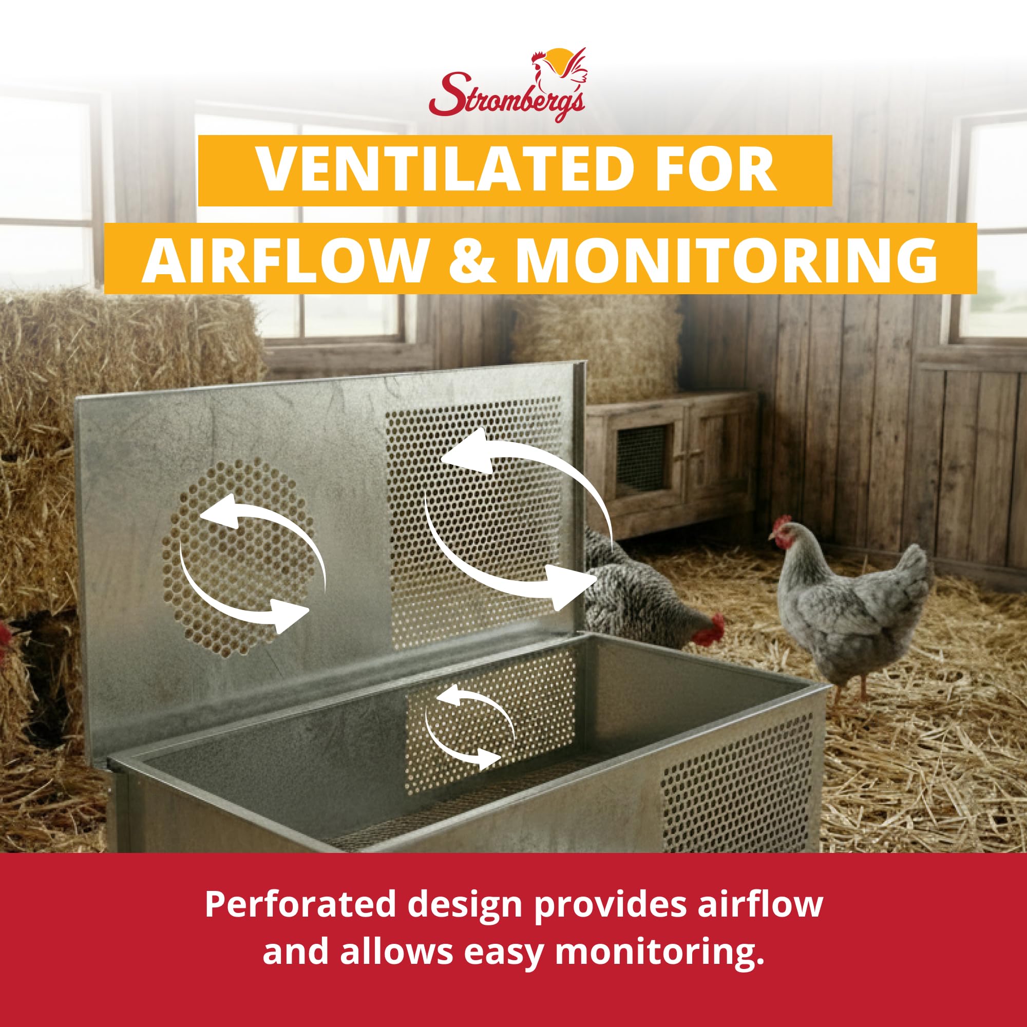 Stromberg's chicks inside brooder demonstrating comfortable space and monitoring