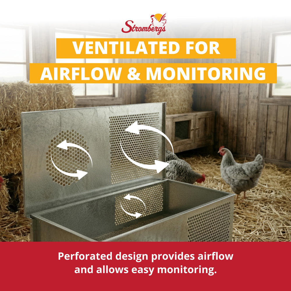 Stromberg's chicks inside brooder demonstrating comfortable space and monitoring