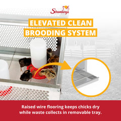 Stromberg's lamp stand detail showing secure heat lamp placement and safety