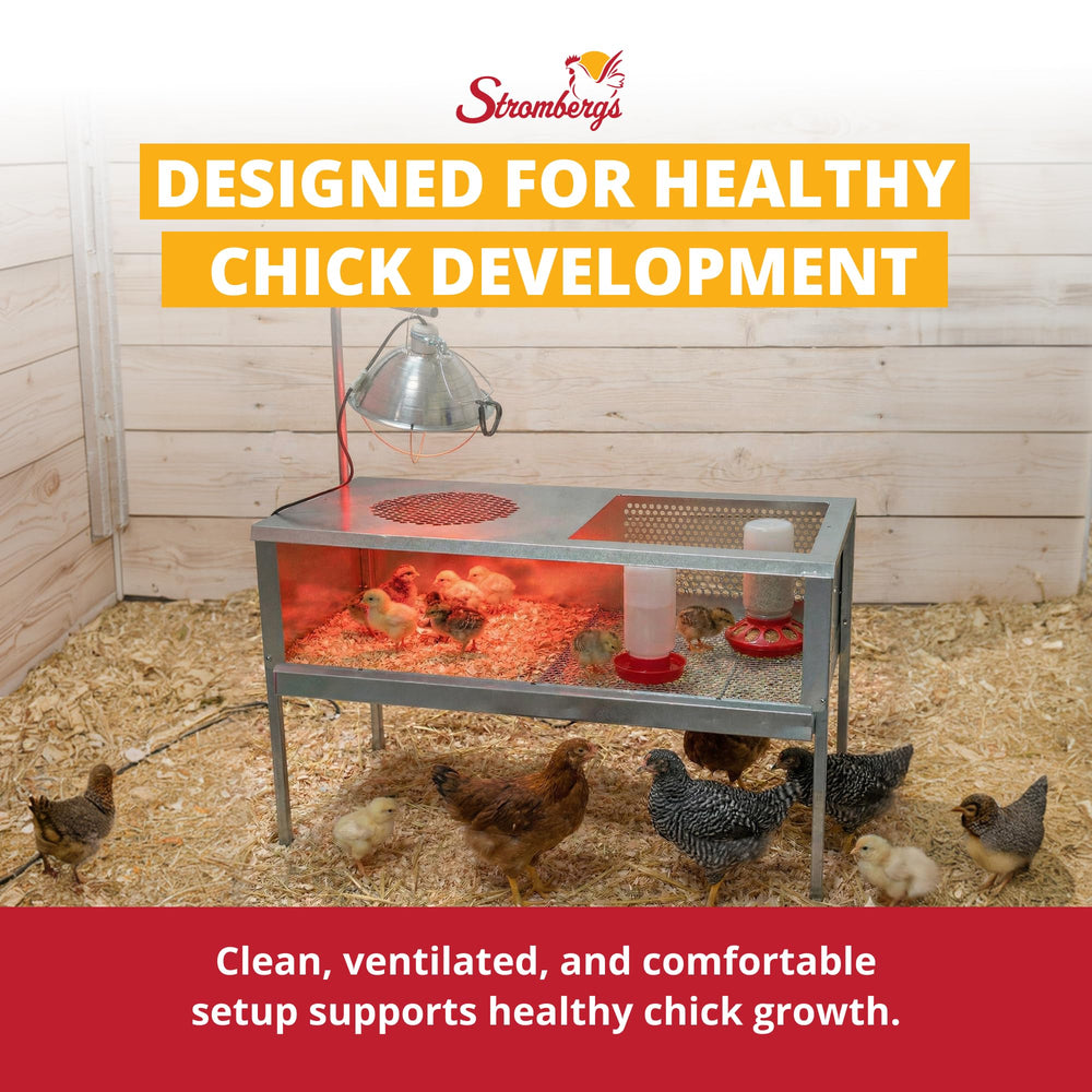 Stromberg's brooder in backyard lifestyle scene showcasing practical everyday use