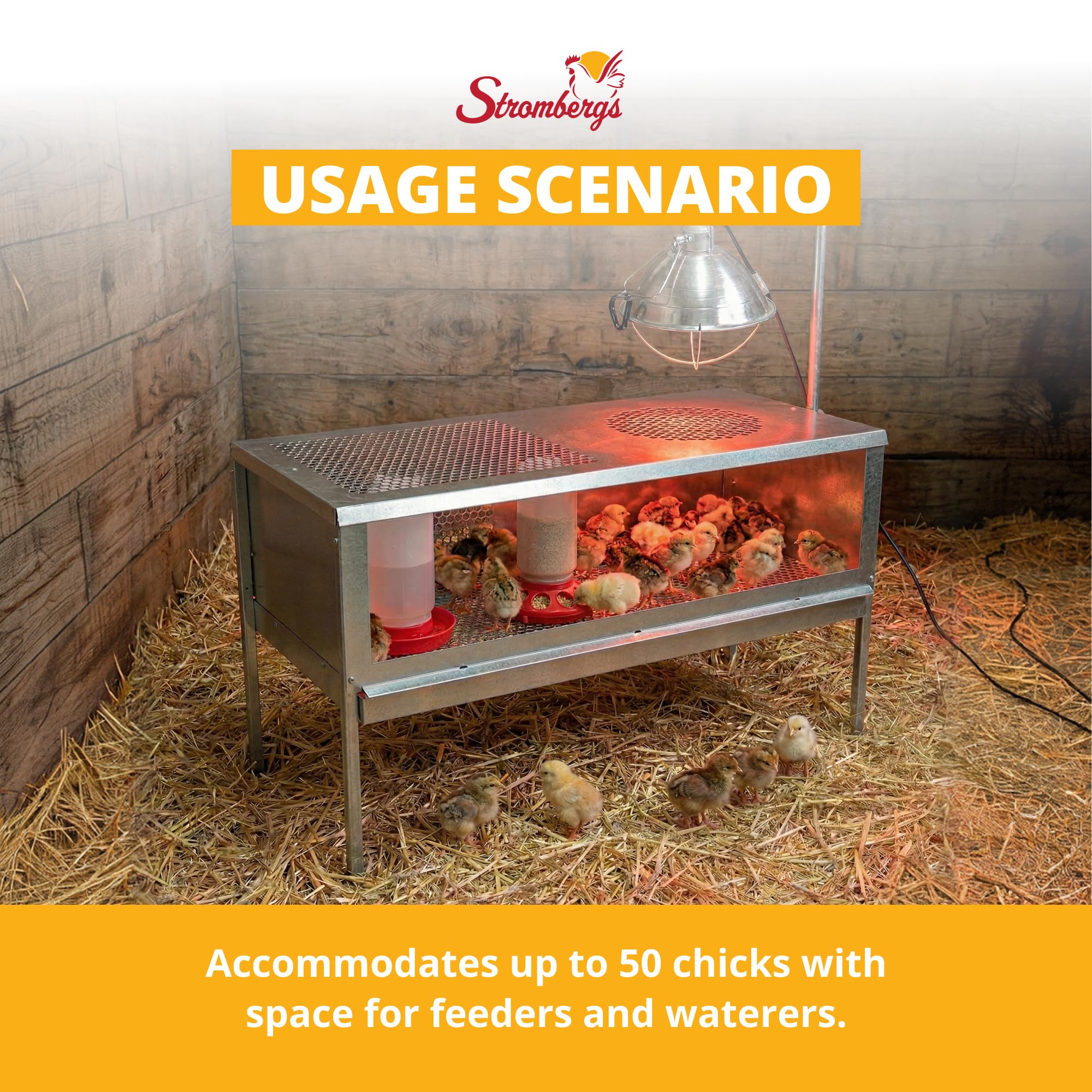 Stromberg's raised wire floor texture keeping chicks dry and reducing waste contact