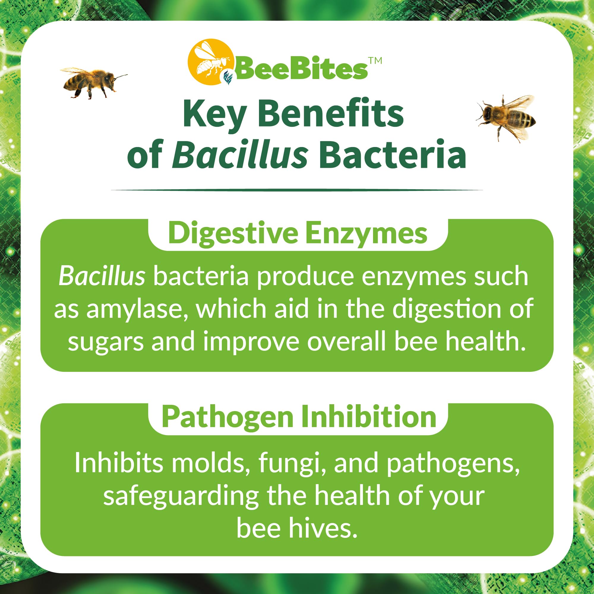 STRONG MICROBIALS bar placed inside a hive for easy bee access and feeding