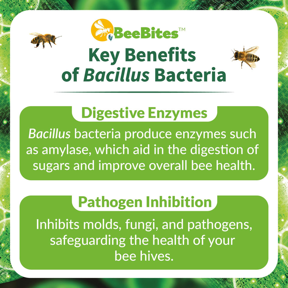 STRONG MICROBIALS bar placed inside a hive for easy bee access and feeding