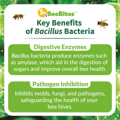 STRONG MICROBIALS bar placed inside a hive for easy bee access and feeding