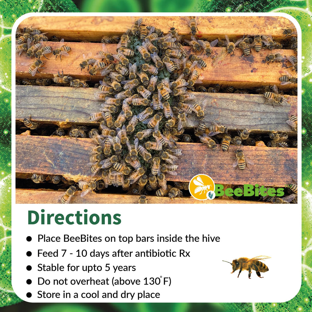 STRONG MICROBIALS BeeBites in an apiary setting conveying practical use