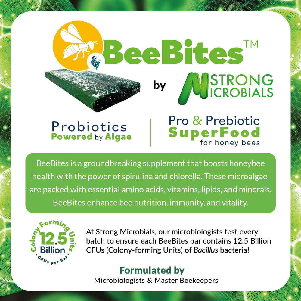 STRONG MICROBIALS single BeeBites bar closeup revealing easy-to-place shape