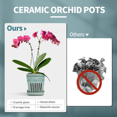SUADEN aeration hole detail showing breathable design for healthier orchid roots