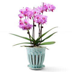 SUADEN front view of handcrafted ceramic orchid pot showing elegant finish and stability