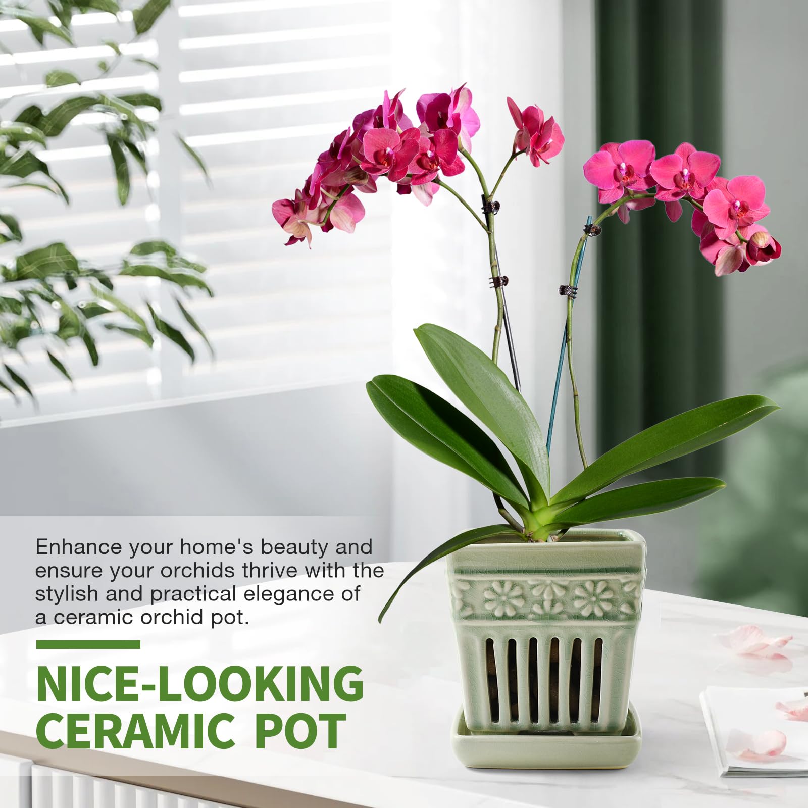 SUADEN pot in windowsill scene providing stylish display and healthy plants
