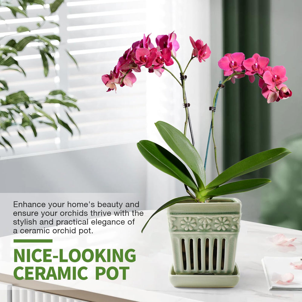 SUADEN pot in windowsill scene providing stylish display and healthy plants