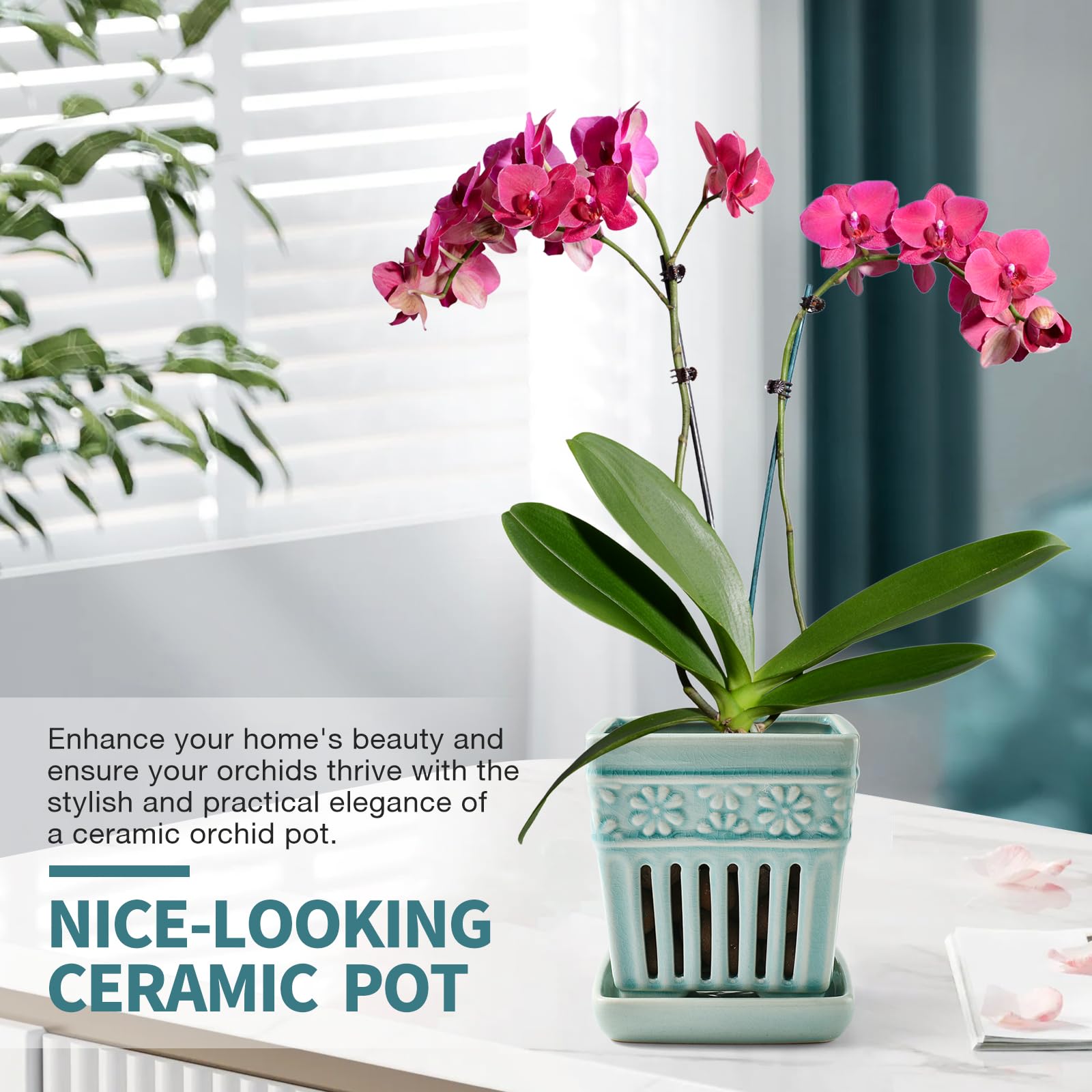 SUADEN lifestyle windowsill display showing stylish placement and tidy watering