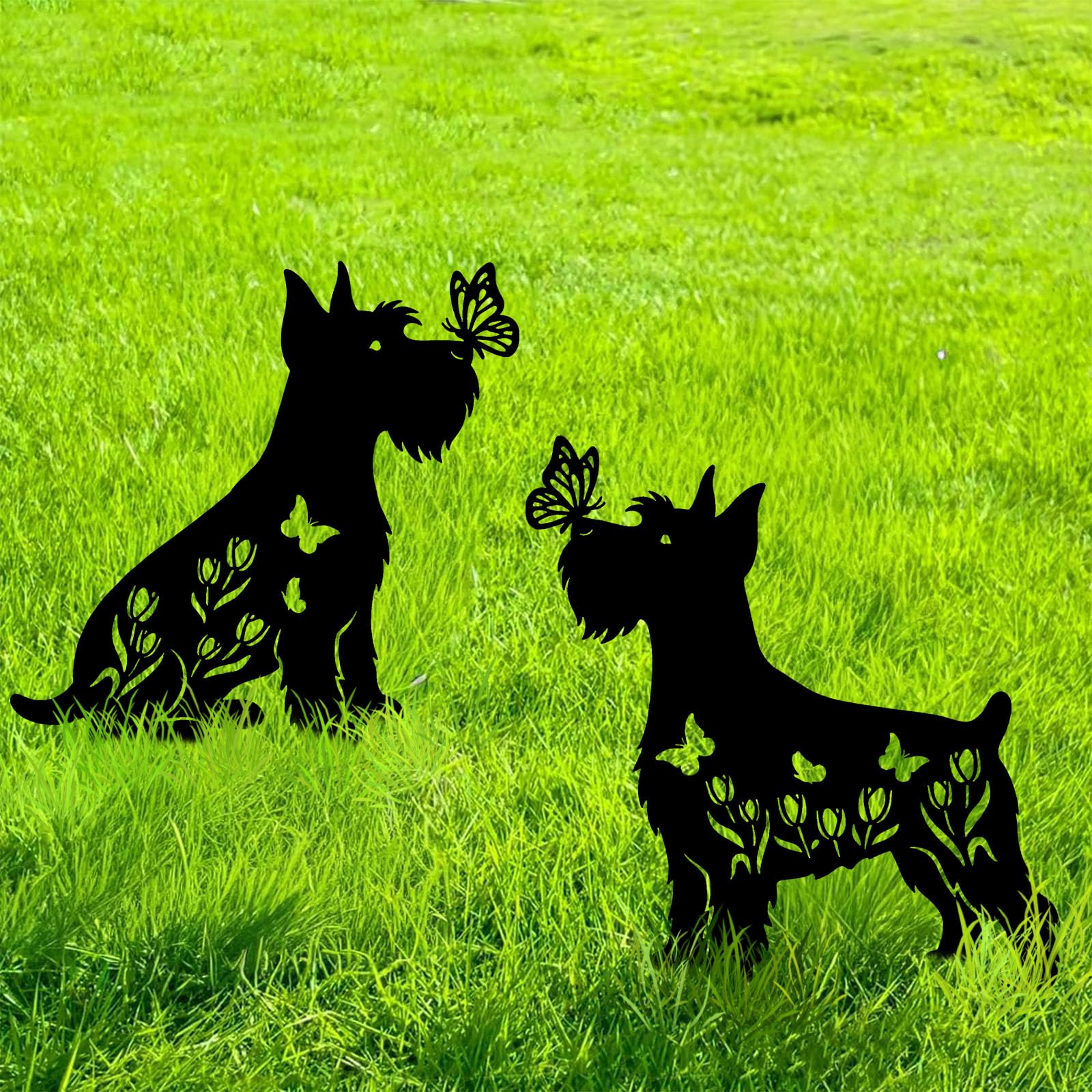 Subvise Miniature Schnauzer front view showing breed silhouette and decorative impact