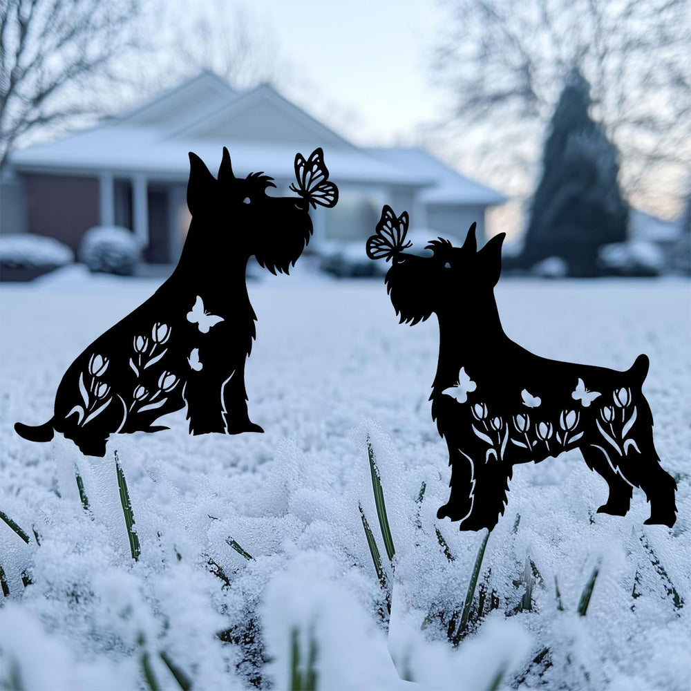 Subvise Miniature Schnauzer pair along pathway creating coordinated landscape accents