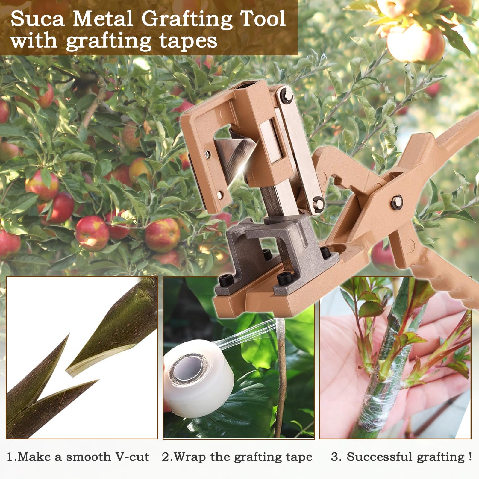 SUCA grafting tape wrapped around union protecting and securing graft