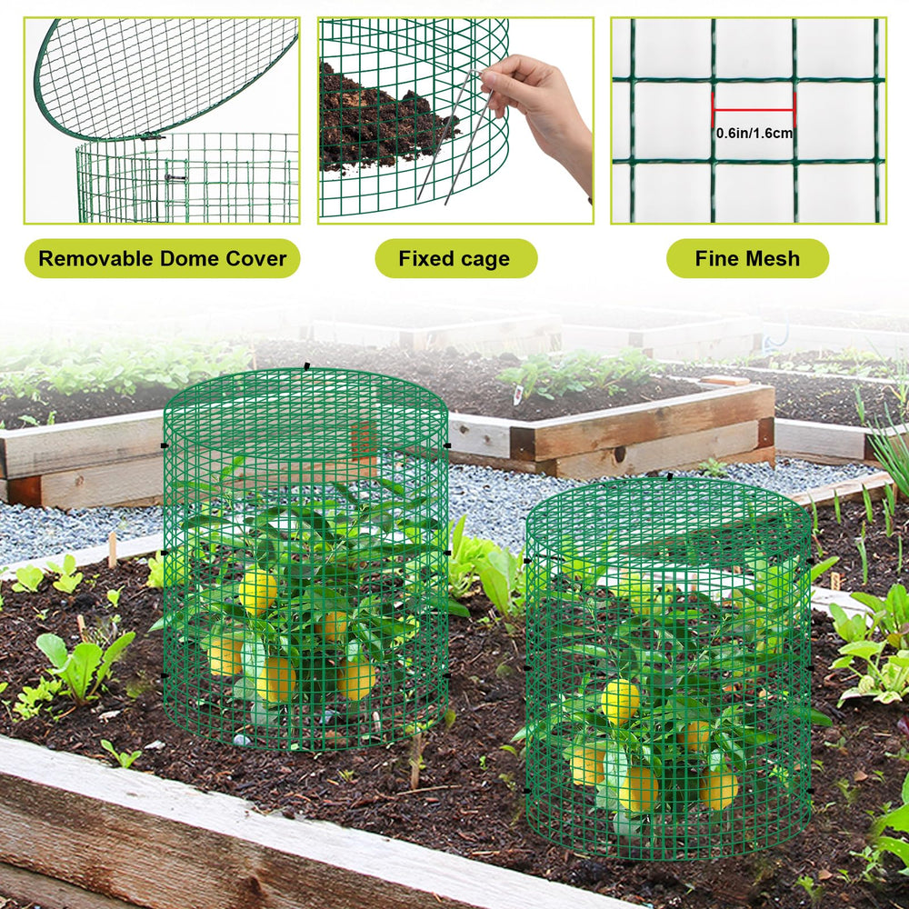 succulentlovers assembled cage around a young plant demonstrating animal protection