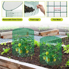 succulentlovers assembled cage around a young plant demonstrating animal protection
