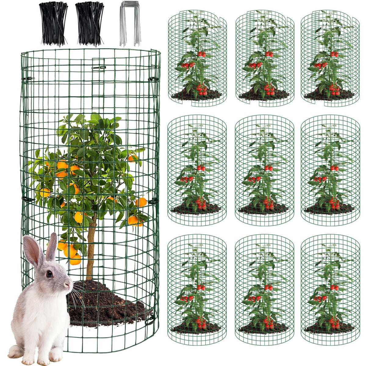 succulentlovers front packaging showing 10 sets and contents, clear kit overview benefit