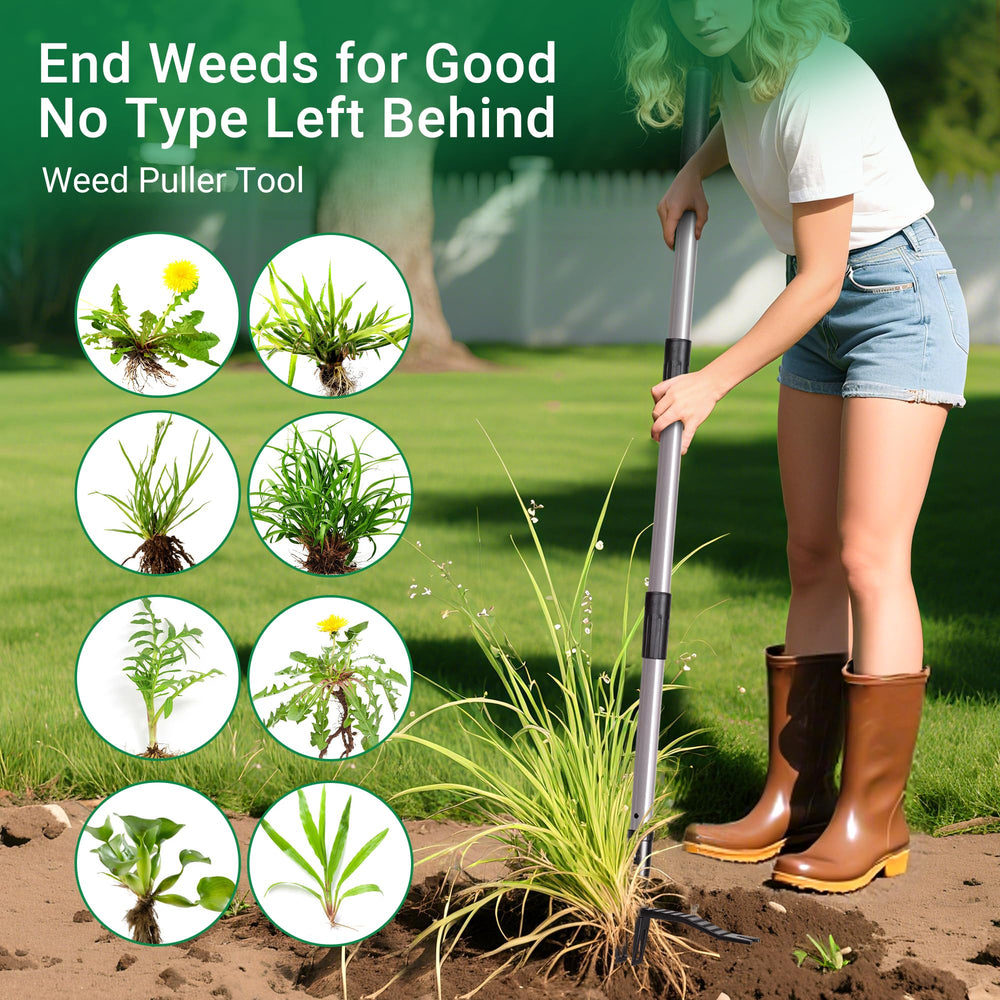 Suchtale in-use on lawn pulling a dandelion to reduce back strain