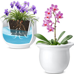 Suclain front view of white ceramic pot shows elegant decor and easy watering