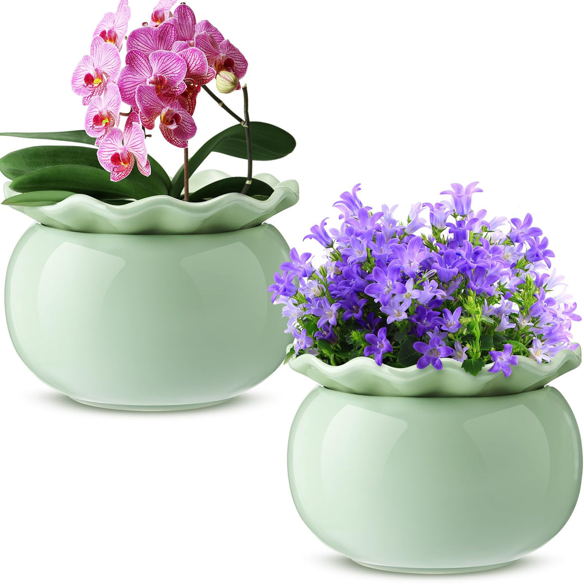 Suclain front view of two green ceramic pots showing modern shape and easy care benefit