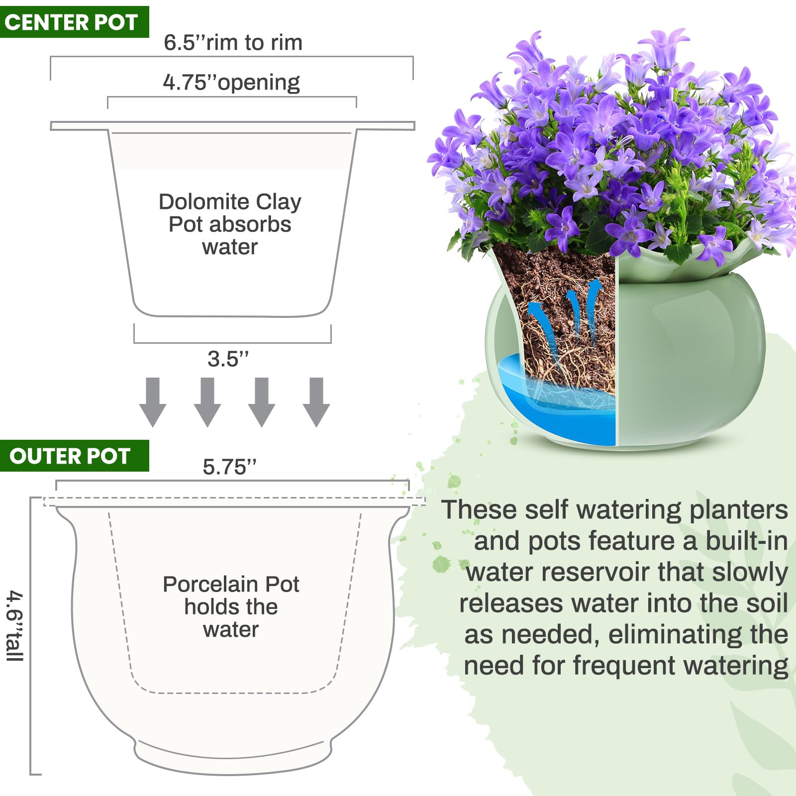 Suclain close-up of the hidden reservoir to demonstrate self-watering convenience