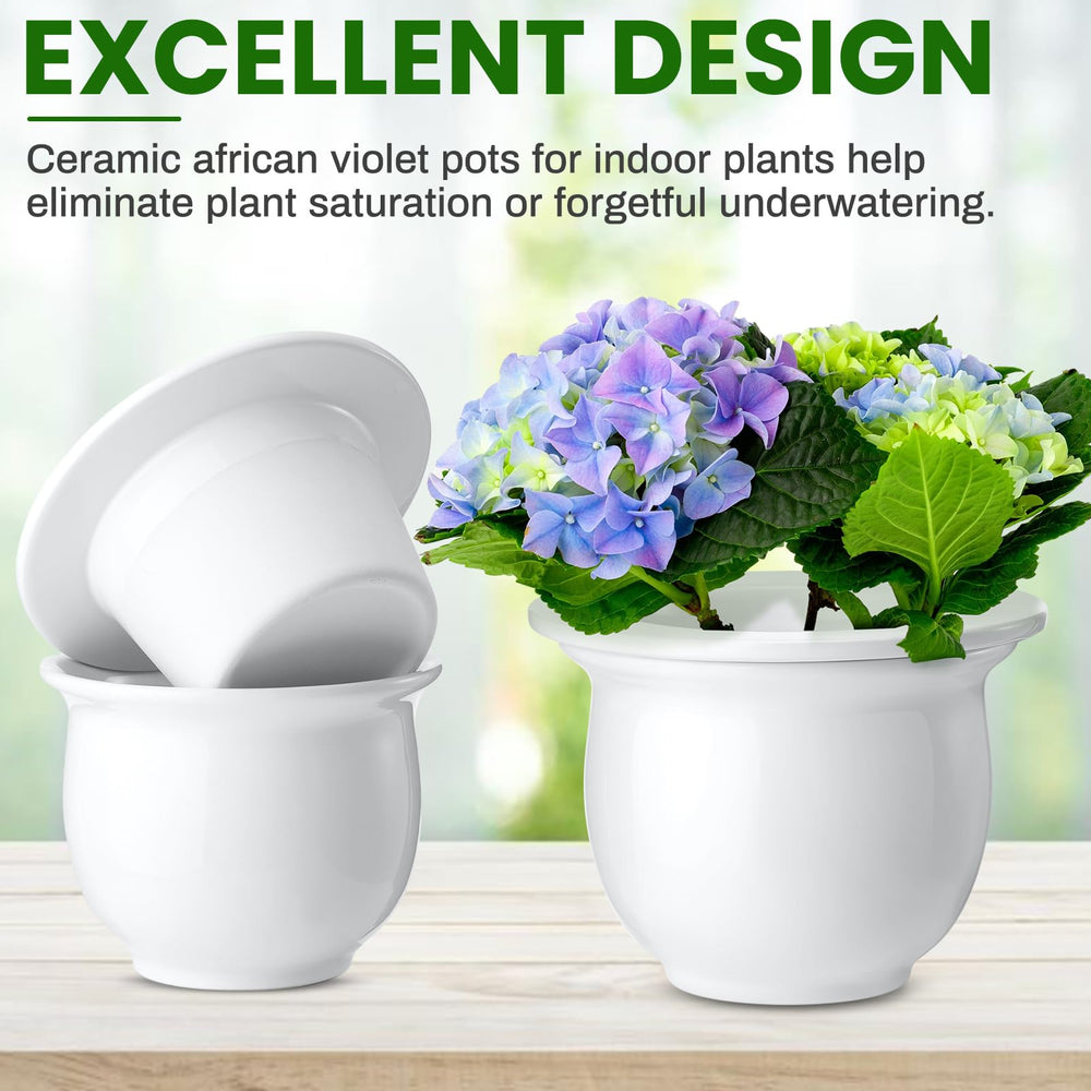 Suclain two-pack styled in living room shows coordinated decor and gifting appeal