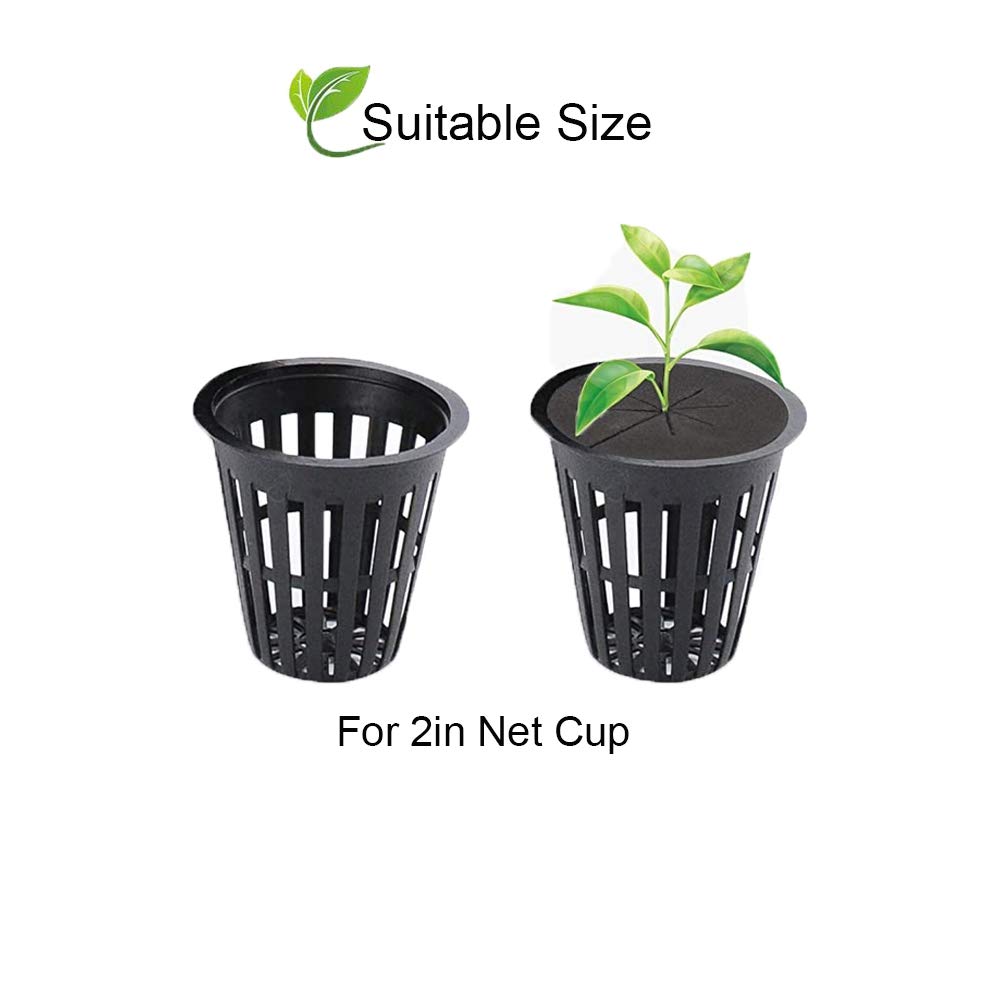 SUCOHANS collars in a hydroponic cloner tray illustrating supported cuttings and neat setup