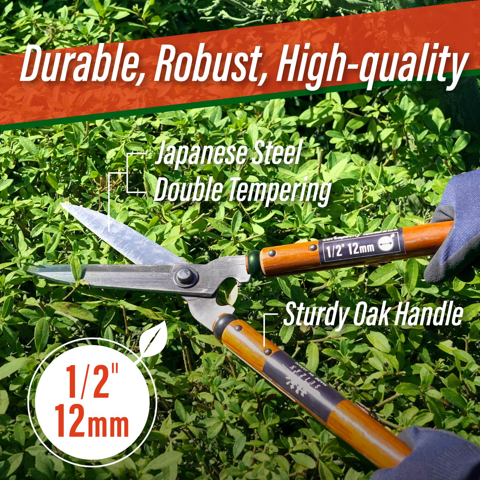 SUIZAN blade edge beside ruler showing scale and capacity for half-inch branches