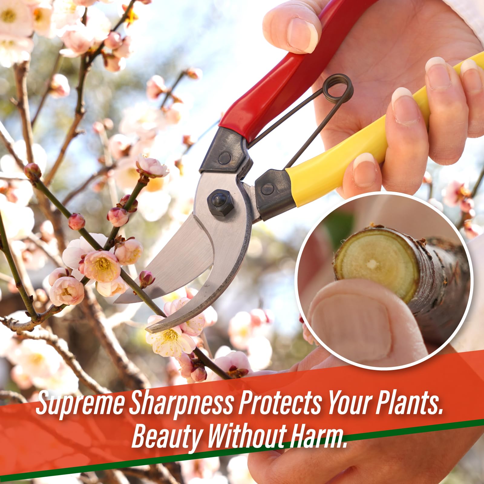 SUIZAN pruning shears cutting a rose stem for precise, clean cuts