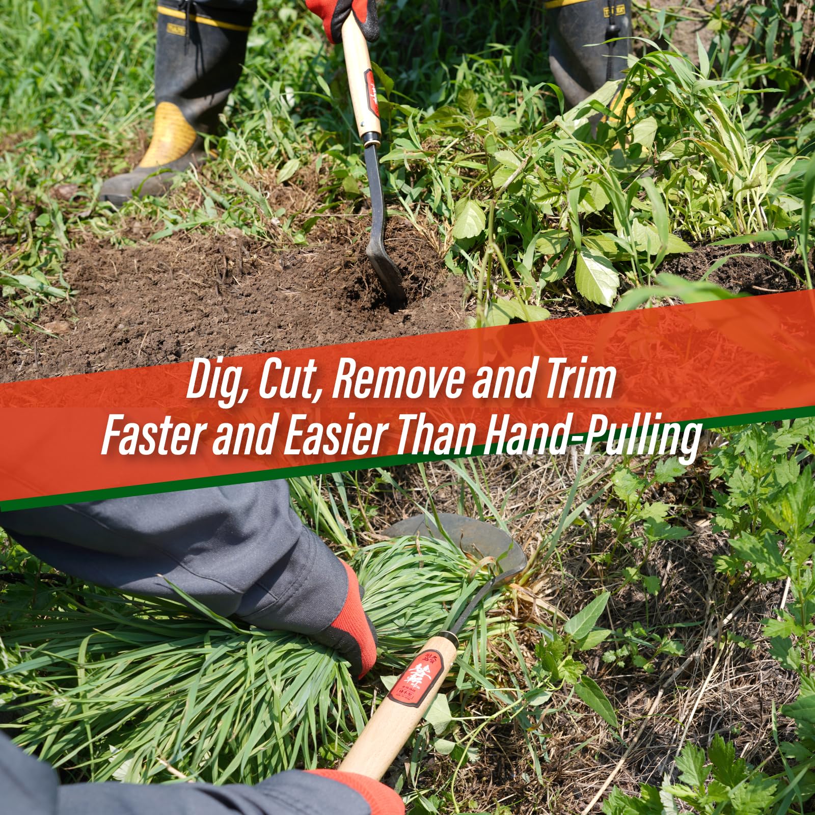 SUIZAN tool in use removing weeds from a vegetable row for precision work