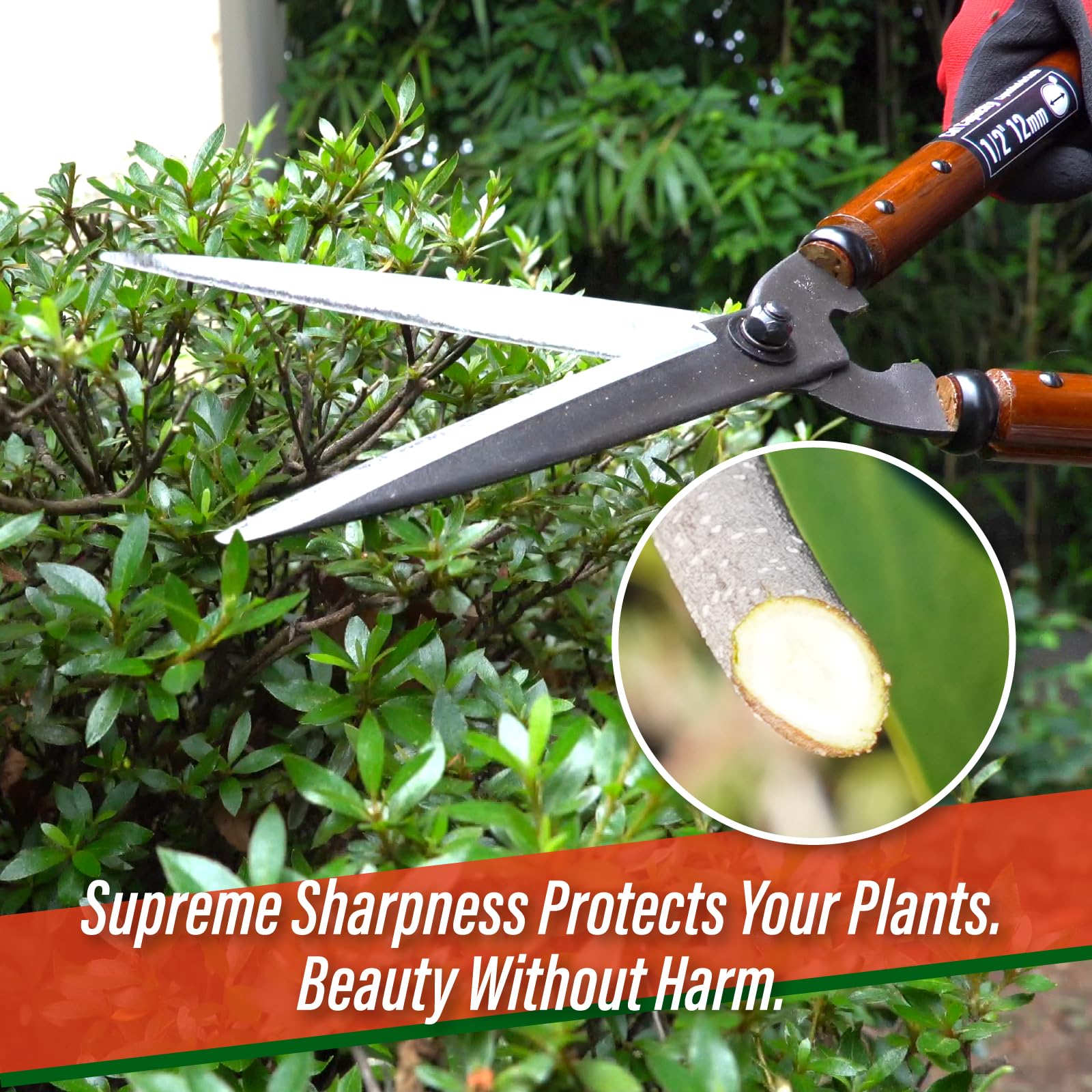 SUIZAN shears in use trimming a hedge for precise, tidy shaping