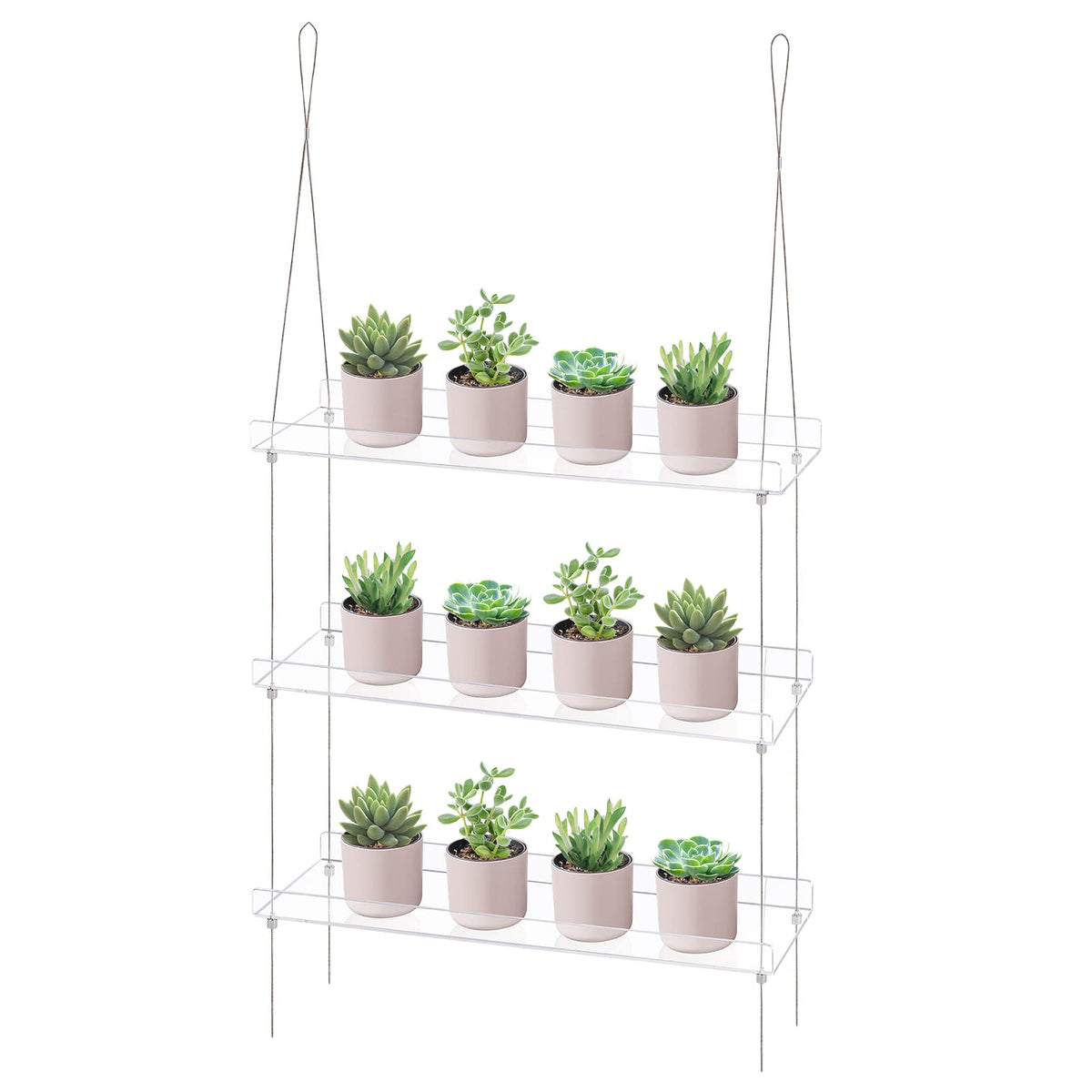 Sumerflos front view of three-tier clear shelves showing neat plant display and airy aesthetic