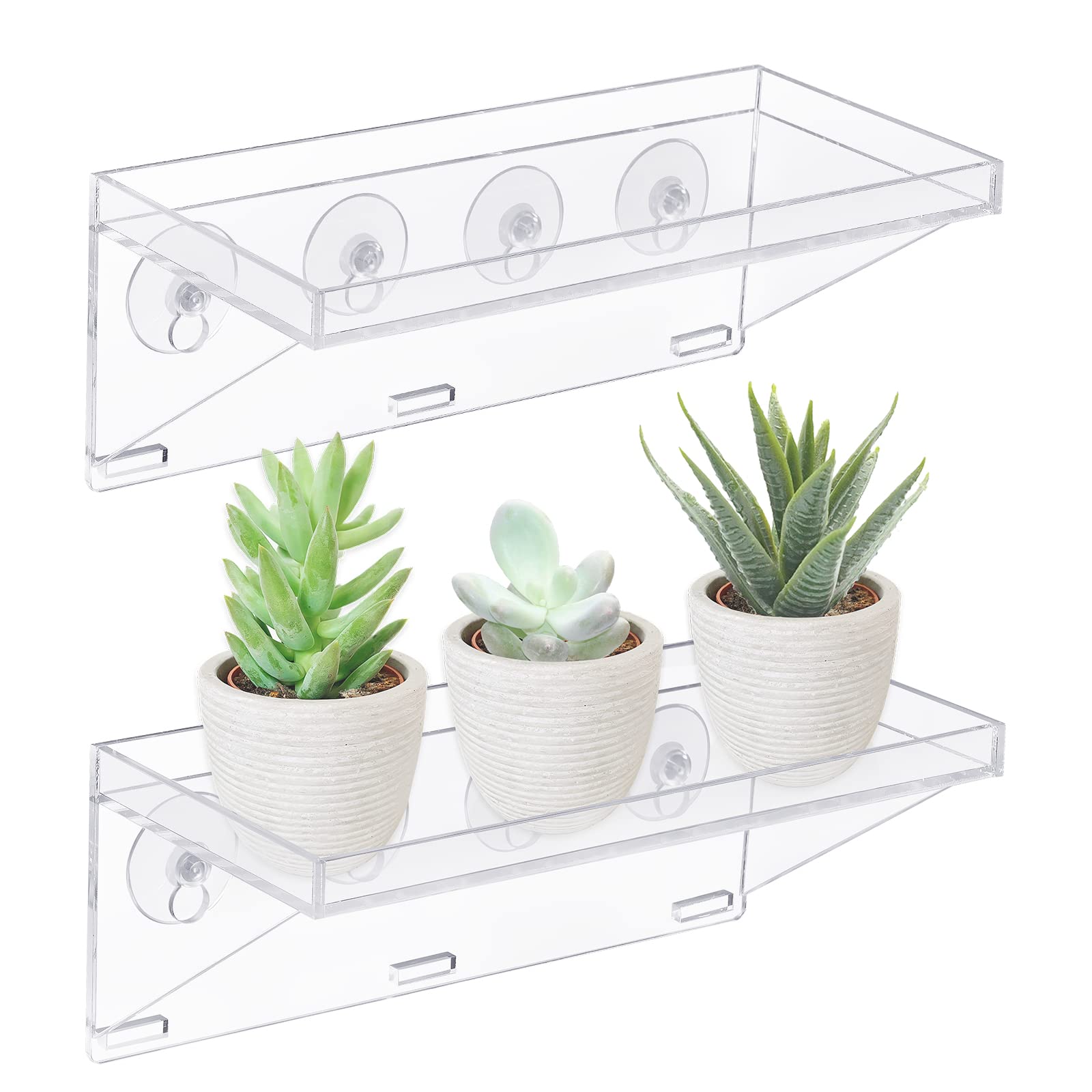 Sumerflos front view showing clear shelf and potted succulents with bright light benefit