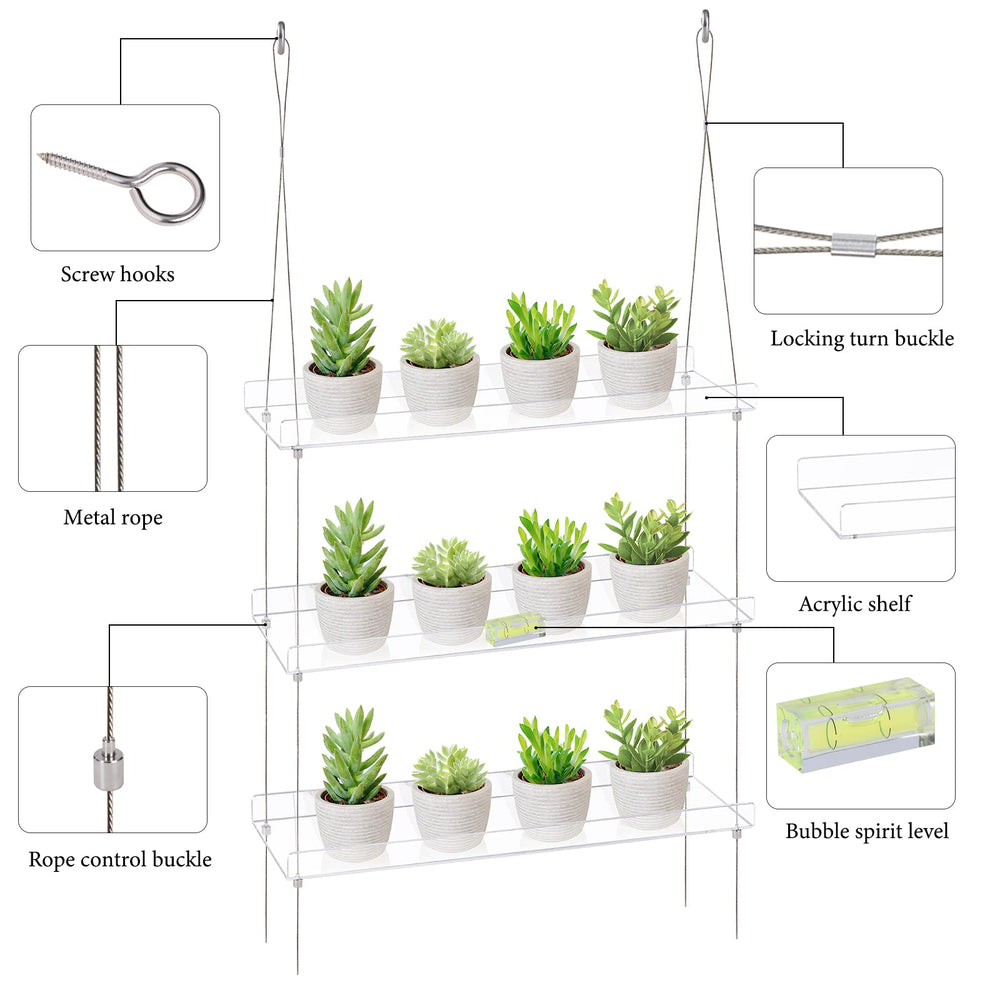 Sumerflos in-use shelves filled with succulents to maximize sunlight for growth